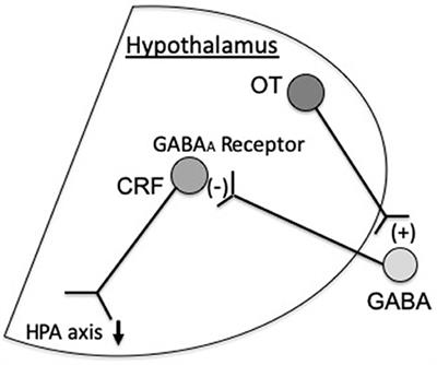 Sensory Stimulation of Oxytocin Release Is Associated With Stress Management and Maternal Care